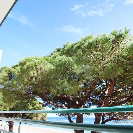 Hotel Mayola Mhotelsgroup